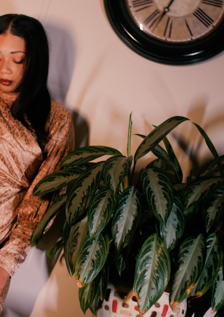 Layla Telle releases brand new single, I Just Wanna.