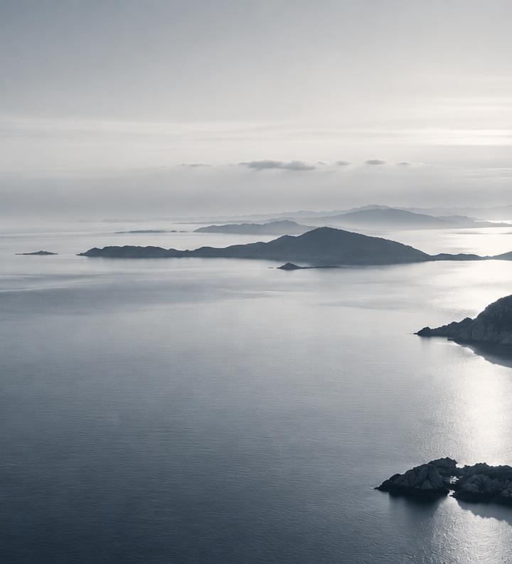 SOUND52 Channels the Mystery of the 52 Hz Whale into ‘Rising Pulse’